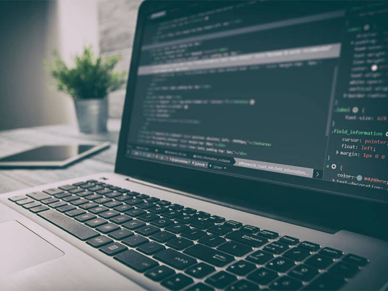 Ankara Web Tasarımı