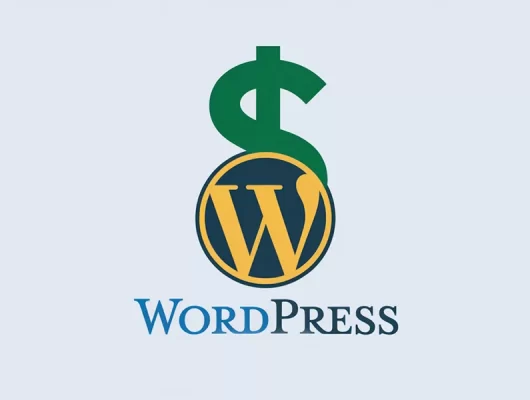 ankara web tasarımı