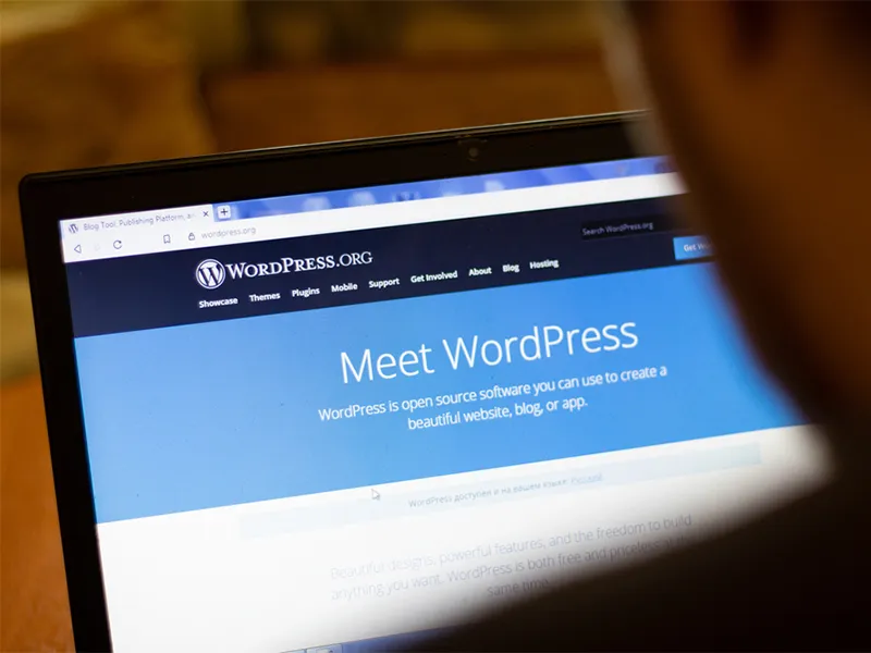 ankara web tasarımı