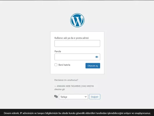 wordpress web tasarımı