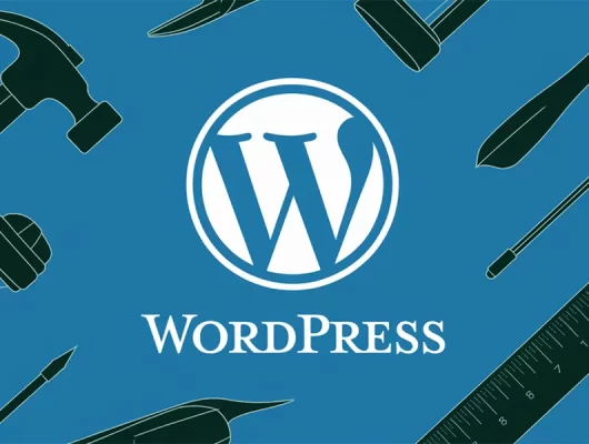 wordpress web tasarimi